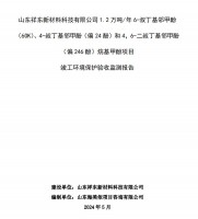 山東祥東新材料科技有限公司1.2萬噸/年6-叔丁基鄰甲(60K)、4-叔丁基鄰甲酚(偏 24 酚)和 4，6-二叔丁基鄰甲酚(偏 246 酚)烷基甲酚項目竣工環(huán)境保護(hù)驗收監(jiān)測報告